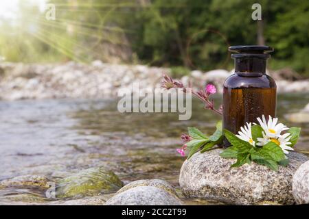 Preparazione di erboristeria con erbe e fiori, aromaterapia olio essenziale Foto Stock