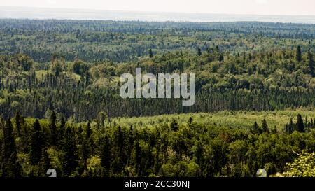 Vista di una foresta dal punto panoramico Baldy Mountain Hiking Trail nel Duck Mountain Provincial Park, Manitoba, Canada Foto Stock