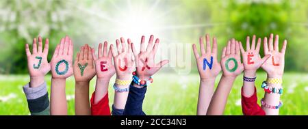 Bambini mani costruire Parola Joyeux Noel significa buon Natale, prato erba Foto Stock