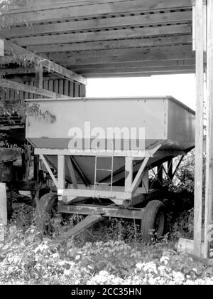 Grano bin in un vecchio Shed in Tennessee Foto Stock