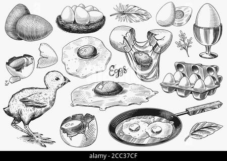 Uova e pulcini, prodotti agricoli, omelette strapazzate, imballaggio e nido. Schizzo vintage inciso a mano. Stile di legno. Illustrazione vettoriale per il menu o. Illustrazione Vettoriale