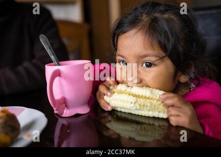 Una bambina di quattro anni mangia un orecchio di mais sulla pannocchia per la prima colazione a casa sua nel distretto di Pachamac, Perù. Foto Stock