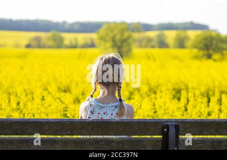 Ragazza (8) su panca parco, campo di colza, Kiel, Schleswig-Holstein, Germania Foto Stock