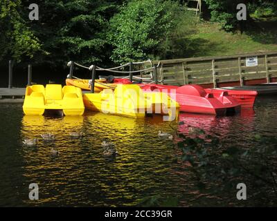 Sport avventurosi sul Loch Faskally con pedalò a noleggio presso la Pitlochry Boating Station su Clunie Bridge Road. Foto Stock