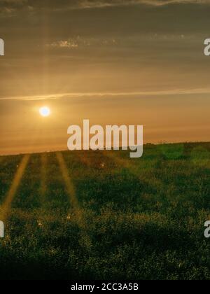 Immagine frizzante del tramonto con raggi solari e luce solare sopra campo verde Foto Stock