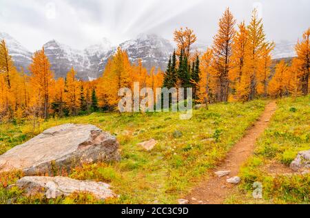 Splendido paesaggio autunnale con alberi colorati in montagne autunnali Foto Stock