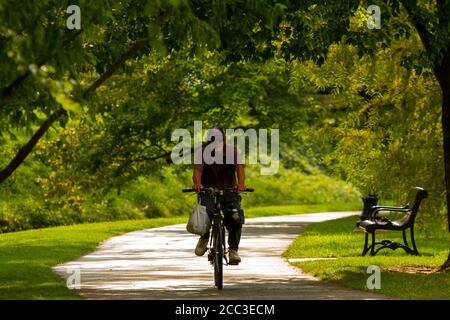 Frederick, MD, USA 08/14/2020: Un uomo caucasico anziano che indossa un cappello da baseball sta guidando una bicicletta attraverso Baker Park in una giornata di sole. Sta trasportando le borse Foto Stock