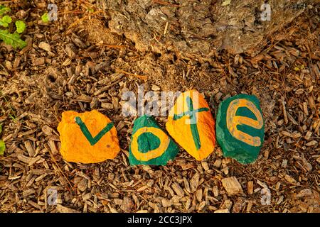 Una composizione piatta di pietre dipinte poste su trucioli di legno sul pavimento della foresta. Le pietre sono colorate in giallo e verde e la parola 'voto' è scritta r Foto Stock