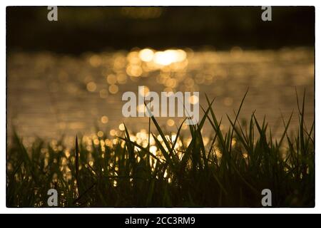 Copia spazio sfocare spiaggia tropicale con bokeh luce del sole Foto Stock