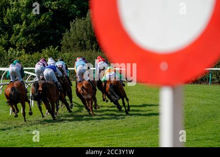 Corridori e corridori si trasformano nella parte posteriore diritto nel seguito alle gare su Twitter handicap divisione uno al Fontwell Park Racecourse. Foto Stock