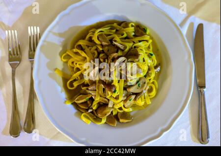 Gustose tagliatelle fatte in casa con funghi porcini di boleto appena raccolti in salsa cremosa primo piano Foto Stock