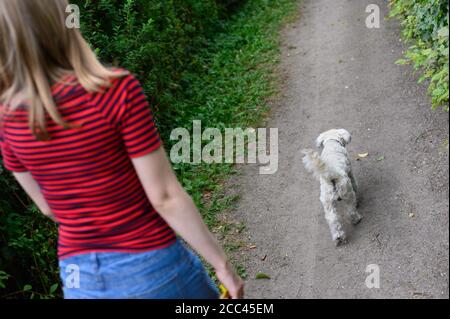 18 agosto 2020, Amburgo: Una giovane donna va a fare una passeggiata sul marciapiede con il suo Havanese. Esercizio sufficiente, mancanza di mantenimento della catena e divieto di mostrare animali con determinate caratteristiche - con norme più severe il Ministero federale dell'agricoltura vuole garantire la conservazione dei cani in modo specie appropriato. Gli attivisti del benessere degli animali e i proprietari di cani gradiscono l'iniziativa - anche l'obbligo previsto di garantire il cane almeno due volte al giorno per un totale di almeno un'ora di esercizio all'aperto fuori di un allevamento. La misura è stata commentata nei social media come un "dovere di escursionista" in parte maliziosamente. Foto: Jon Foto Stock