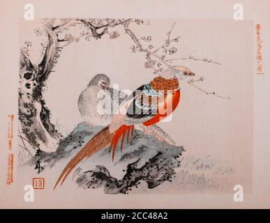 Imao Keinen: Keinen Kacho Gafu (quattro stagioni Bird e Flower Albums), Chinese Pheasants. Giappone. 1892 Imao Keinen (1924 – 1845) è stato un Foto Stock