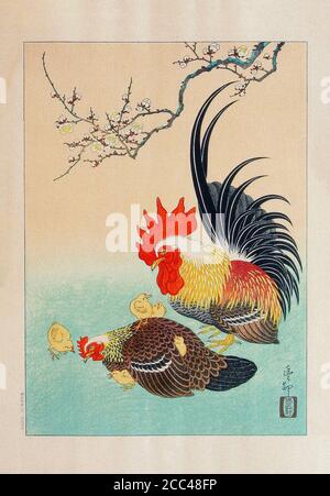 Ohara Koson: Famiglia di pollo. Giappone. 1934 Ohara Koson (1945 – 1877) è stata una Foto Stock