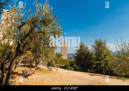 Splendida vista sul giardino pubblico racchiuso dalla Rocca di Montestaffoli, fortezza di San Gimignano. Una panca in cima ad un pendio è circondata da ulivi... Foto Stock