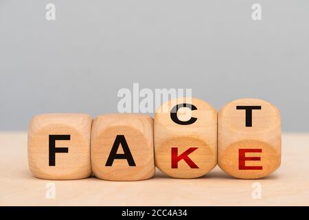 fatto e falso stampato su cubetti di legno Foto Stock