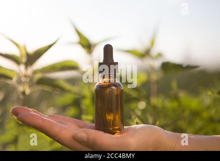 Estratto di ortica in una bottiglia medica e ortica fresca Foto Stock