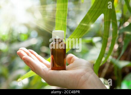 Concetto di spa e benessere. Velocità copia Foto Stock