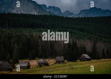 Percorso attraverso la Valle di Gasienicowa nelle montagne di Tatra, Polonia. Maltempo autunno su belle case di legno nei prati ai piedi delle colline. Foto Stock