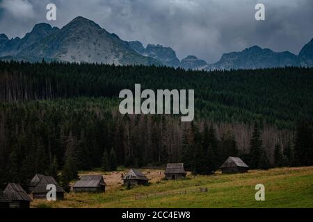 Percorso attraverso la Valle di Gasienicowa nelle montagne di Tatra, Polonia. Maltempo autunno su belle case di legno nei prati ai piedi delle colline. Foto Stock