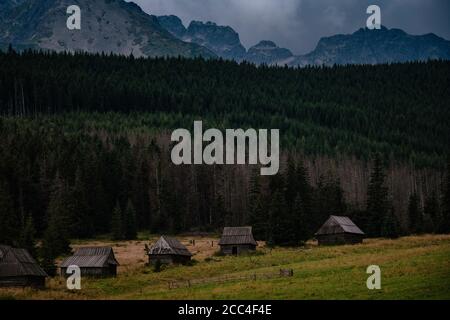 Percorso attraverso la Valle di Gasienicowa nelle montagne di Tatra, Polonia. Maltempo autunno su belle case di legno nei prati ai piedi delle colline. Foto Stock