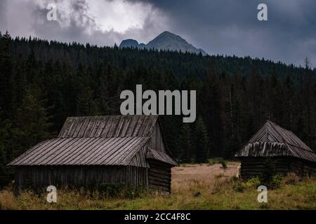 Percorso attraverso la Valle di Gasienicowa nelle montagne di Tatra, Polonia. Maltempo autunno su belle case di legno nei prati ai piedi delle colline. Foto Stock