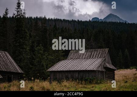 Percorso attraverso la Valle di Gasienicowa nelle montagne di Tatra, Polonia. Maltempo autunno su belle case di legno nei prati ai piedi delle colline. Foto Stock