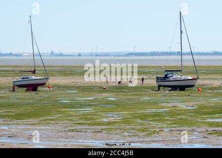 Persone e yacht fuori sulle case di fango a Leigh on Sea, Essex, Regno Unito. A bassa marea il mare si ritirano molto lontano e la gente esce. Bambini che giocano Foto Stock