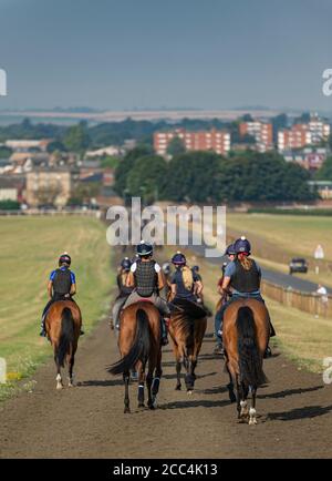 Newmarket, Suffolk, Inghilterra, Regno Unito – Vista da Warren Hill verso il basso sulla città di Newmarket con una serie di cavalli in primo piano Foto Stock