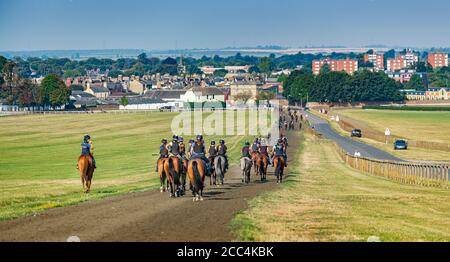 Newmarket, Suffolk, Inghilterra, Regno Unito – Vista da Warren Hill verso il basso sulla città di Newmarket con una serie di cavalli in primo piano Foto Stock