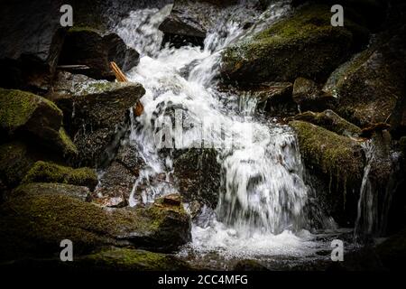 Piccola cascata veloce nella foresta canadese Foto Stock