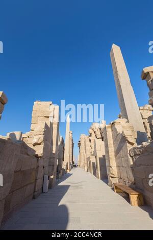 L'obelisco di Hatshepsut, complesso del tempio di Karnak, Luxor, Egitto Foto Stock