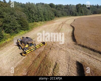 mietiforaggi di grandi dimensioni su un campo di colza su un luminoso sole foto aerea del giorno Foto Stock