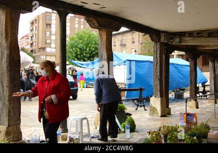 Commercianti di mercato che vendono piante e fiori in Plaza Espana in Saldaña Spagna giorno di mercato il Martedì con passaggi coperti e colonne di legno Foto Stock