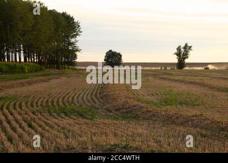 Campo di stoppia da un raccolto di cereali luce solare tarda sera Il giorno di agosto e gli sprinkler ad acqua attivi nel Sfondo Lantadilla Palencia Spagna Foto Stock