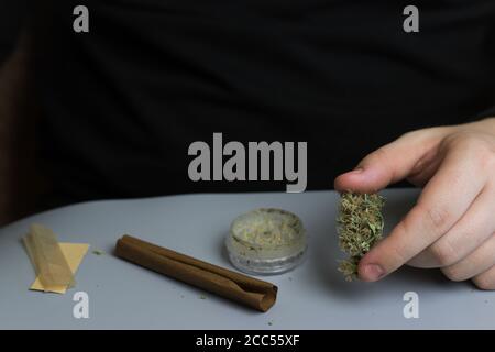 THC e CBD legge legale per uso medico o ricreativo. Uomo con marijuana in mano Foto Stock