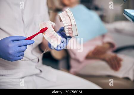 Il dentista sta tenendo le dentiere nella stanza dell'ufficio Foto Stock