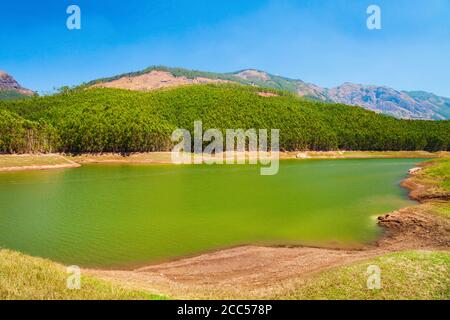 Diga lago vicino la città di Munnar in Kerala, stato dell India Foto Stock