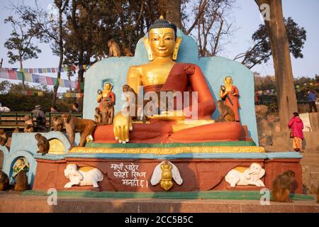 Le scimmie di Assam Macaque circondano una statua del Buddha al tempio di Swayambhunath a Kathmandu, Nepal. Foto Stock