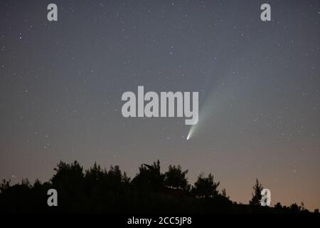 Cometa Neoswise nel cielo stellato di notte tra le montagne di Machairas, Cipro. Foto Stock