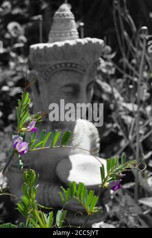Buddha e vetch Foto Stock