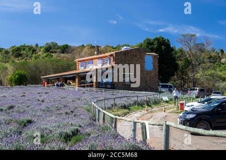 Casa in stile provenzale in cima a una collina dove i visitatori possono acquistare prodotti di lavanda, vicino alla piantagione di campi di lavanda all'interno della fattoria o Lavandario Foto Stock