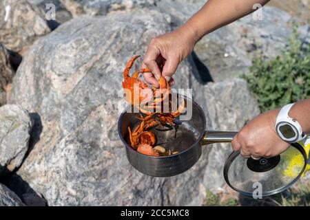 Granchi appena cotti. Pescato fresco cucinato in natura presso il sito di pesca Foto Stock