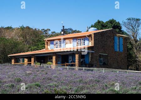 Negozio di case in stile provenzale dove i visitatori possono acquistare prodotti di lavanda sulla cima di una collina, presso la piantagione di campi di lavanda all'interno della fattoria 'o Lavandario' Foto Stock