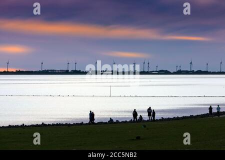 Meldorfer Bucht in serata con vista sul vento turbine Foto Stock