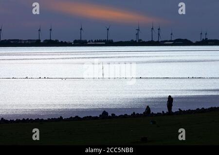 Meldorfer Bucht in serata con vista sul vento turbine Foto Stock