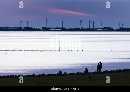 Meldorfer Bucht in serata con vista sul vento turbine Foto Stock