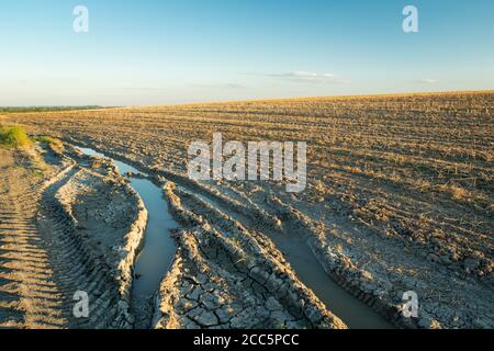 Tracce di ruote nel fango e campo falciato su una collina, Staw, Polonia Foto Stock