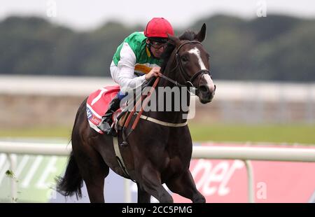 Pyledriver guidato da jockey Martin Dwyer vince lo Sky Bet Great Voltigeur Stakes durante il giorno uno dello Yorkshire Ebor Festival all'Ippodromo di York. Foto Stock