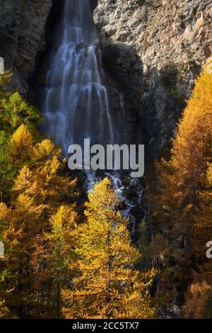 Cascata la Pisse e larici dorati in autunno nel Parco Naturale Regionale del Queyras. Ceillac, Hautes-Alpes (05), Alpi, Francia Foto Stock